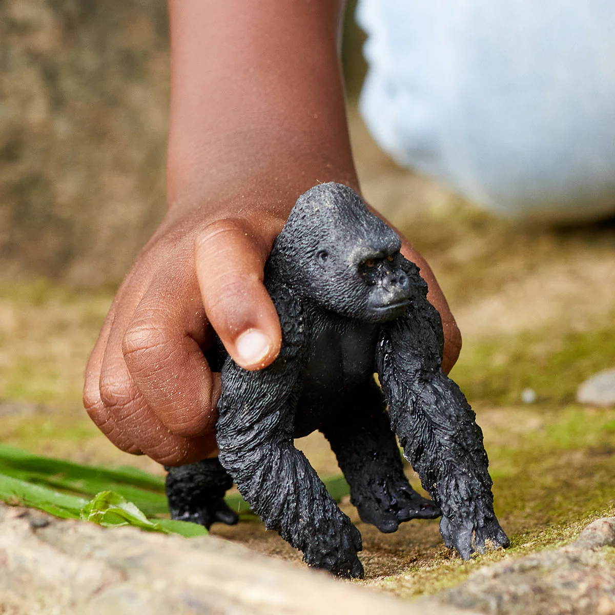 Gorilla, male (bundle) - Image 4