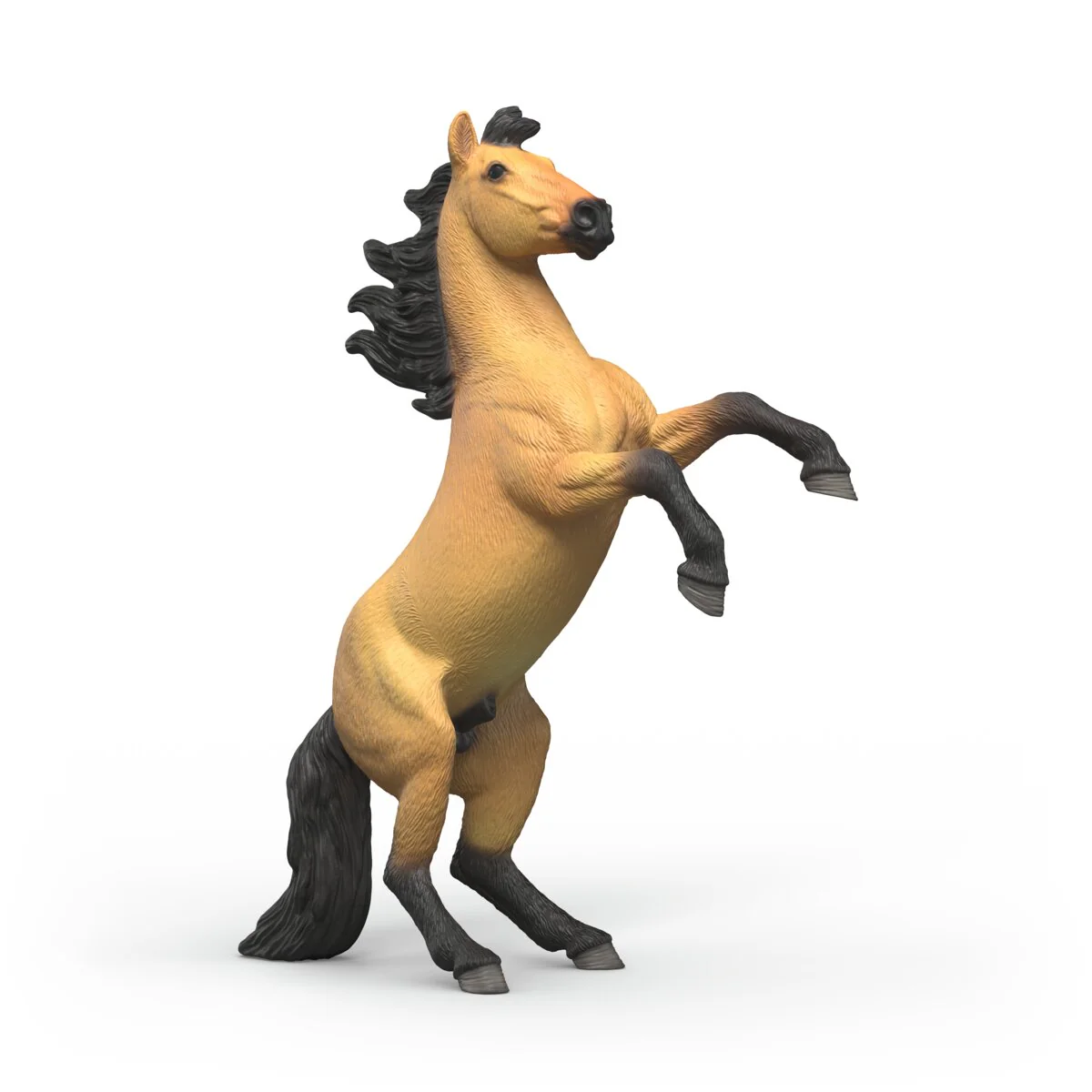 Mustang Stallion