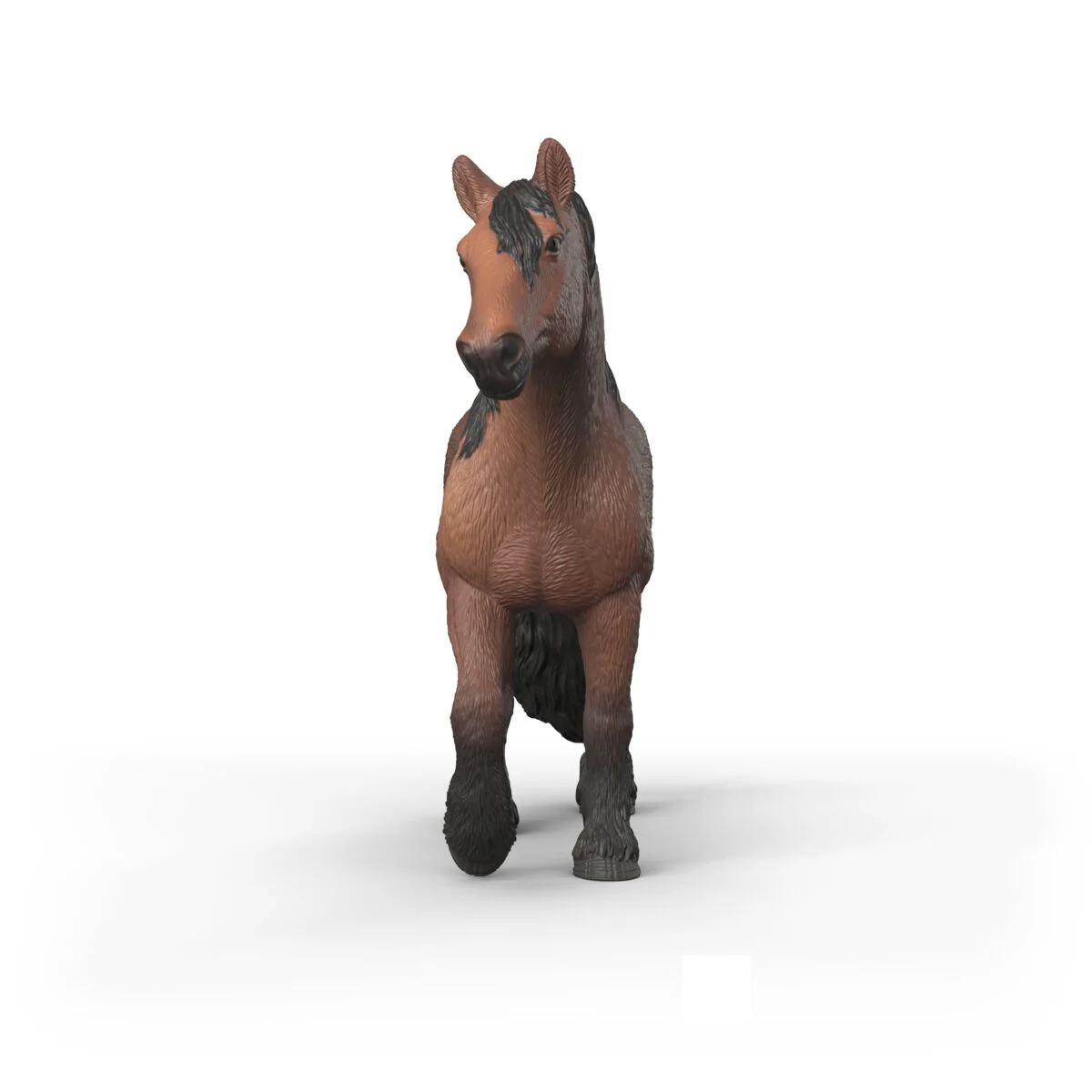 North Swedish Cold Blooded Mare - Image 3