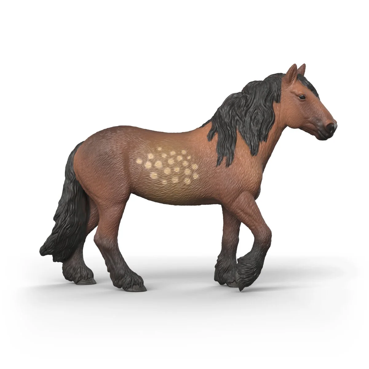 North Swedish Cold Blooded Mare - Image 6