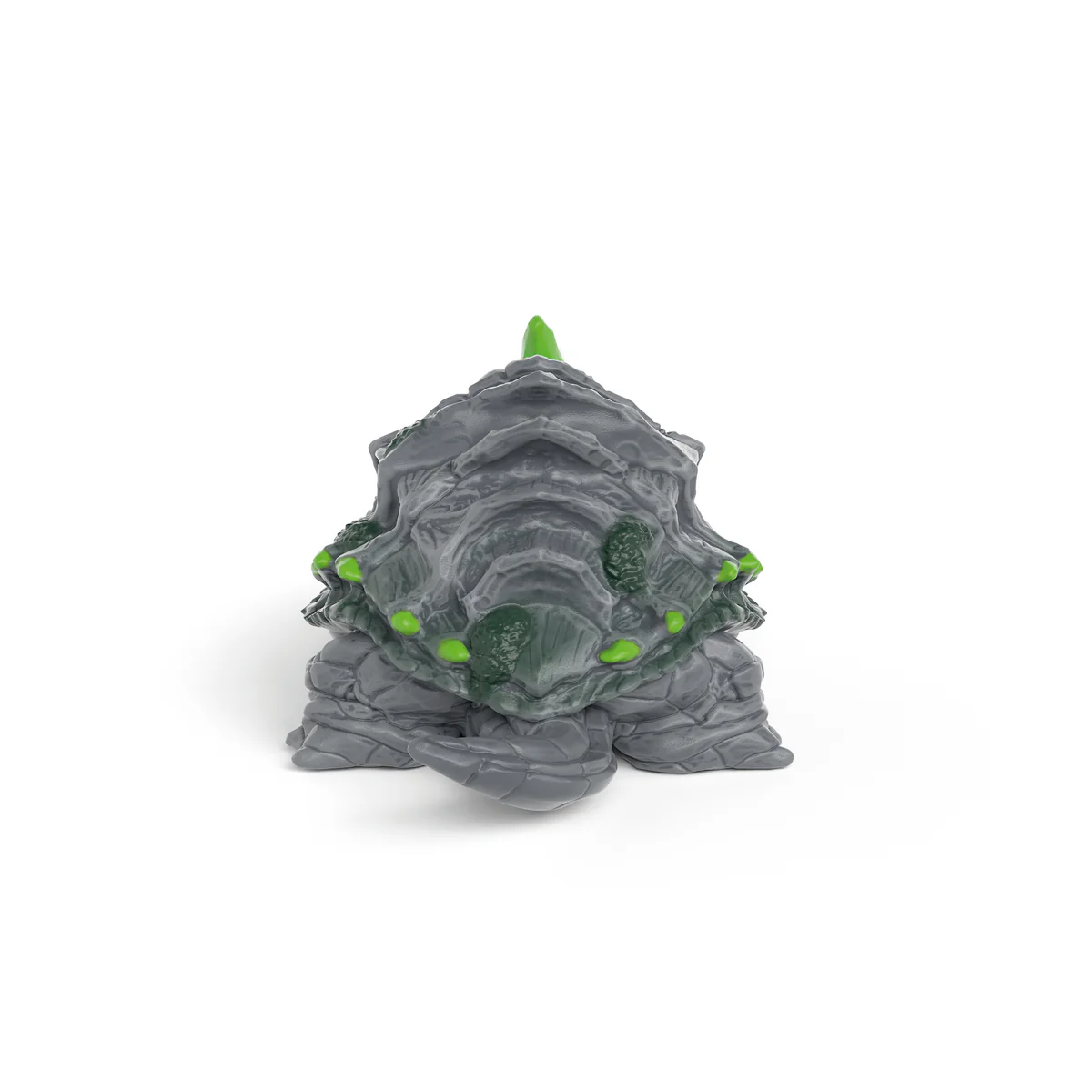 Stone Snapper - Image 6